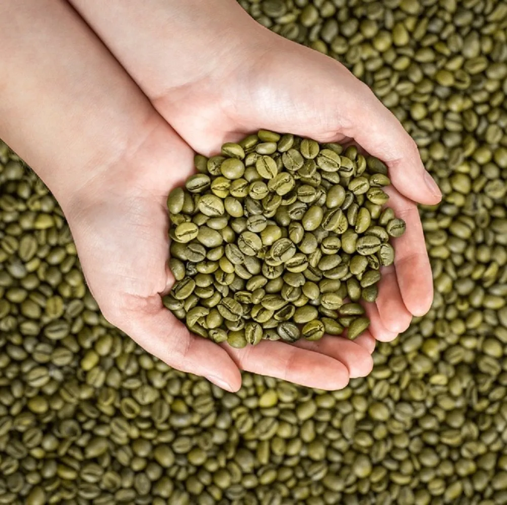 Arabica Green Coffee