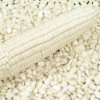 white Corn