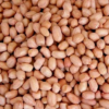 Peanuts (Raw Groundnuts):
