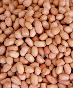 Peanuts (Raw Groundnuts):